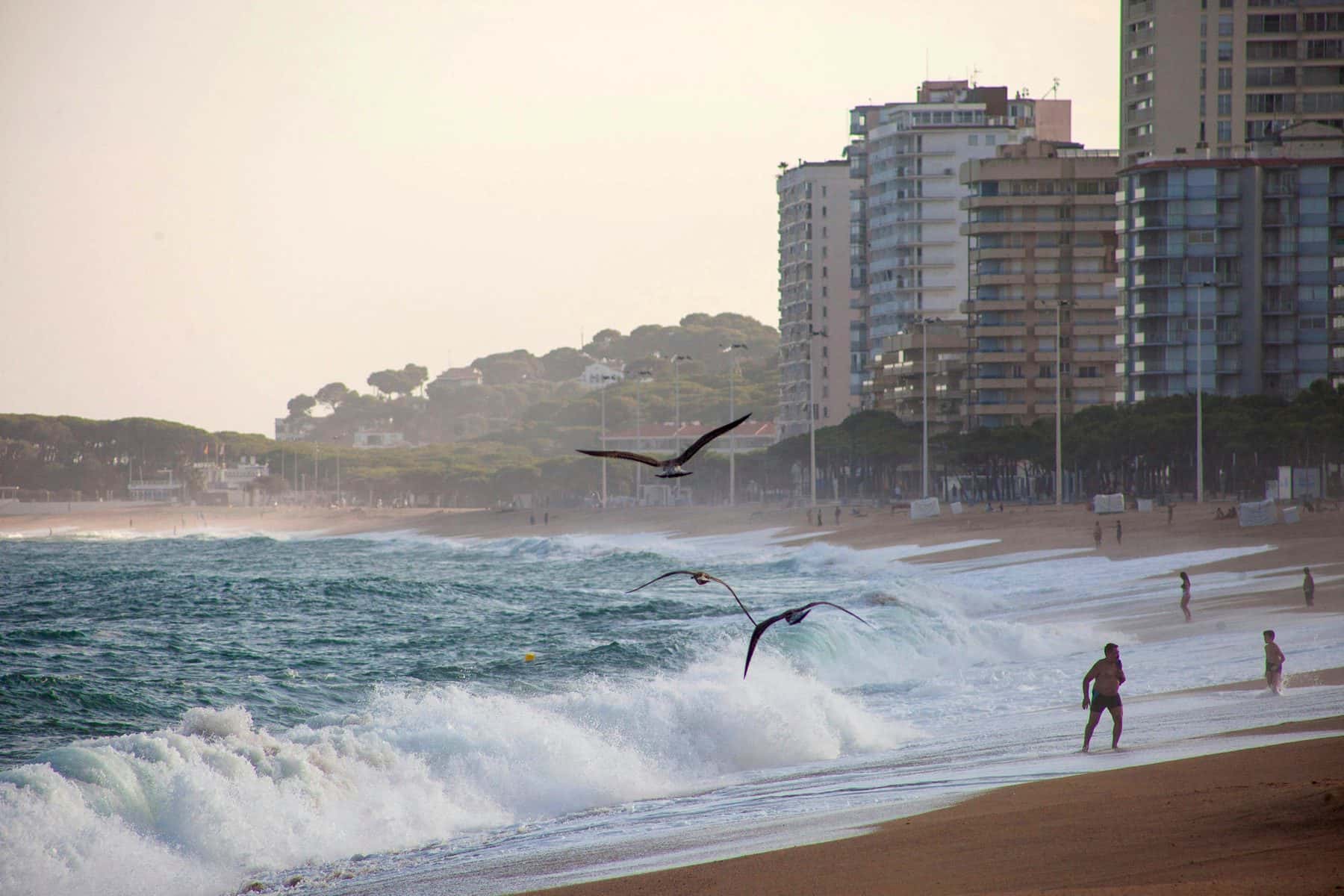 Platja Gran de Platja d'Aro con su frente marítimo, gestión de alquiler vacacional con Winahost